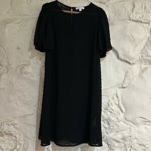 Anthropologie | S | NWOT | Black Sheer Polka Dot Dress | Knee Length